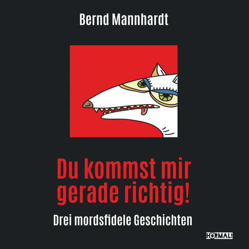 Hoerbuch Du kommst mir gerade richtig! - Bernd Mannhardt - Bernd Mannhardt