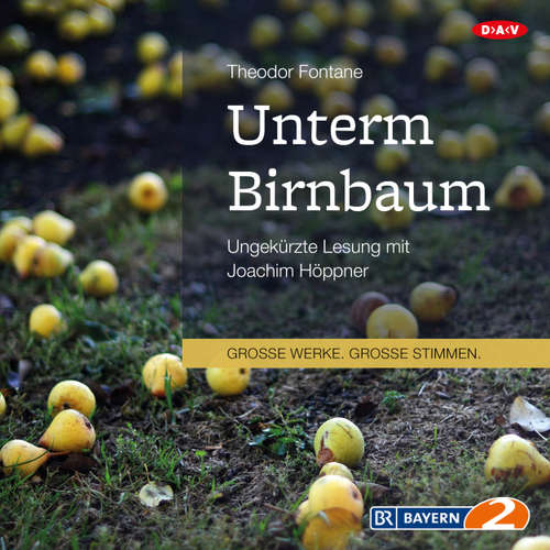 Hoerbuch Unterm Birnbaum - Theodor Fontane - Joachim Höppner