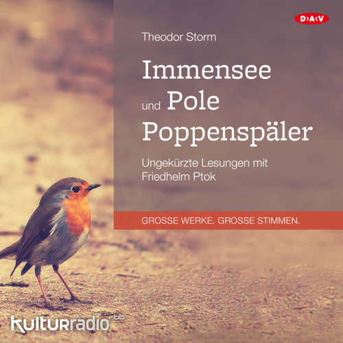 Hoerbuch Immensee und Pole Poppenspäler - Theodor Storm - Friedhelm Ptok