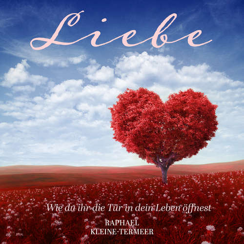 Hoerbuch Liebe - Wie du ihr die Tür in dein Leben öffnest - Raphael Kleine-Termeer - Raphael Kleine-Termeer