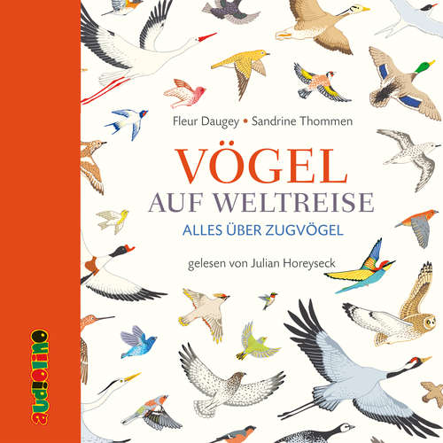 Hoerbuch Vögel auf Weltreise. Alles über Zugvögel - Fleur Daugey - Julian Horeyseck