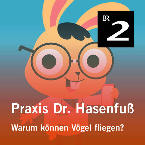 Hoerbuch Praxis Dr. Hasenfuß: Warum können Vögel fliegen? - Olga-Louise Dommel - Olga-Louise Dommel