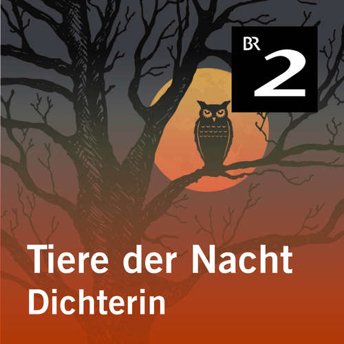 Hoerbuch Tiere der Nacht: Dichterin - Silke Wolfrum - Gerd Lohmeyer