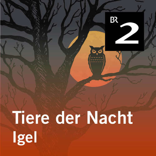 Hoerbuch Tiere der Nacht: Igel - Silke Wolfrum - Gerd Lohmeyer
