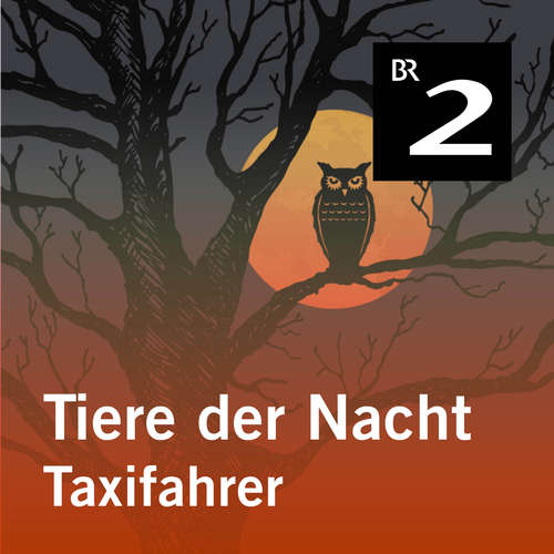 Hoerbuch Tiere der Nacht: Taxifahrer - Silke Wolfrum - Gerd Lohmeyer