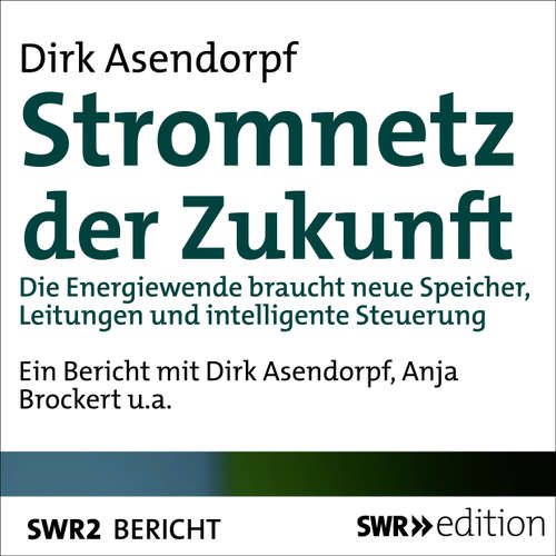 Hoerbuch Stromnetz der Zukunft - Dirk Asendorpf - Dirk Asendorpf