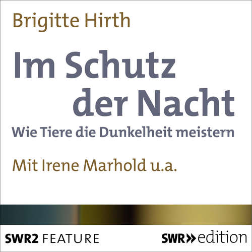 Hoerbuch Im Schutz der Nacht - Brigitte Hirth - Irene Marhold