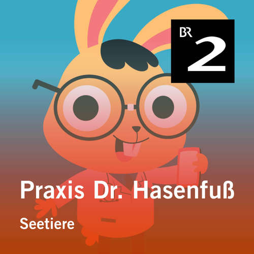 Hoerbuch Praxis Dr. Hasenfuß: Seetiere - Olga-Louise Dommel - Olga-Louise Dommel