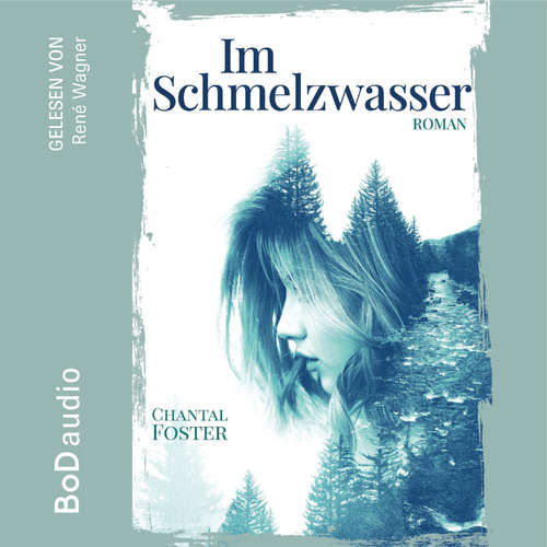 Hoerbuch Im Schmelzwasser - Chantal Foster - René Wagner