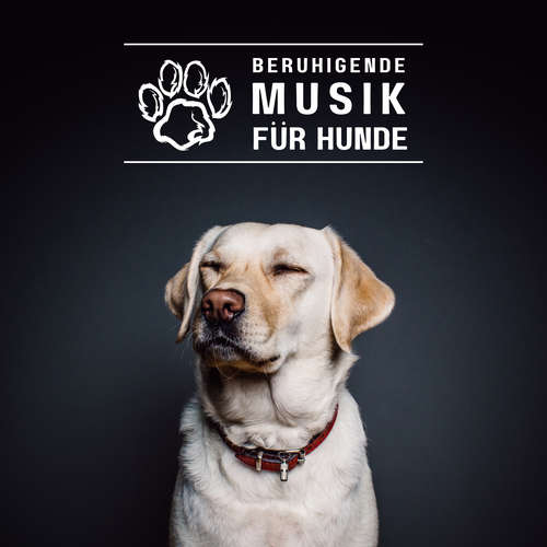 Hoerbuch Beruhigende Musik für Hunde - World Of Dogs - World Of Dogs
