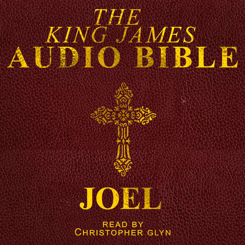 Audiobook Joel - Christopher Glyn - Christopher Glyn