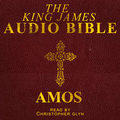 Audiobook Amos - Christopher Glyn - Christopher Glyn