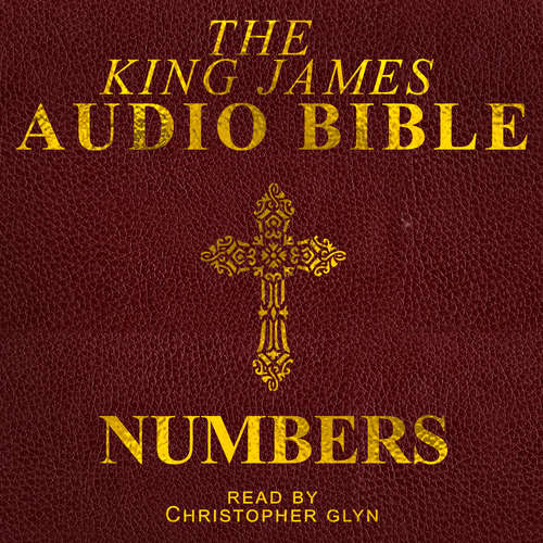 Audiobook Numbers - Christopher Glyn - Christopher Glyn