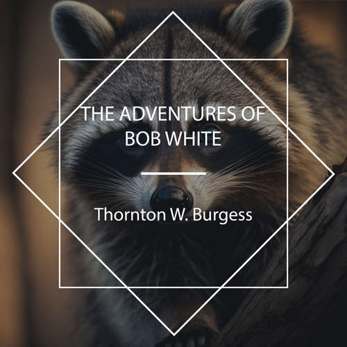 Audiobook The Adventures of Bob White - Thornton W. Burgess - John Lieder