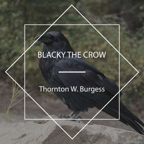 Audiobook Blacky the Crow - Thornton W. Burgess - Jude Somers