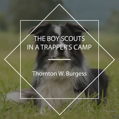 Audiobook The Boy Scouts in a Trapper's Camp - Thornton W. Burgess - Keith Salis