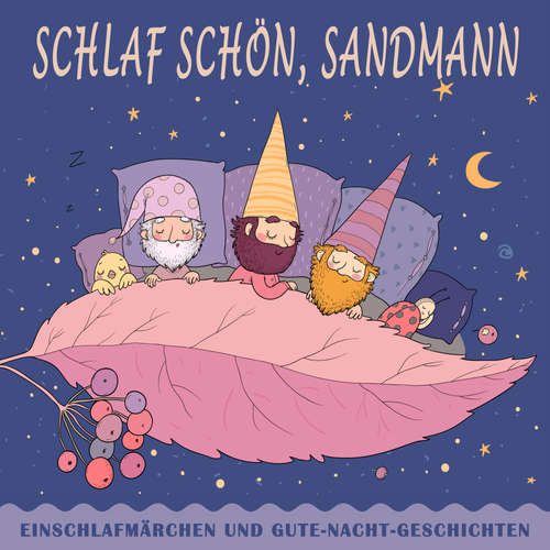 Hoerbuch Schlaf schön, Sandmann - Hans Christian Andersen - Sebastian Lohse