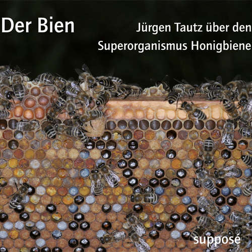 Hoerbuch Der Bien - Klaus Sander - Jürgen Tautz