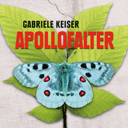 Apollofalter
