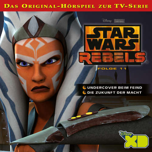Hoerbuch 11: Undercover beim Feind / Die Zukunft der Macht (Das Original-Hörspiel zur Star Wars-TV-Serie) - - Hanns Jörg Krumpholz