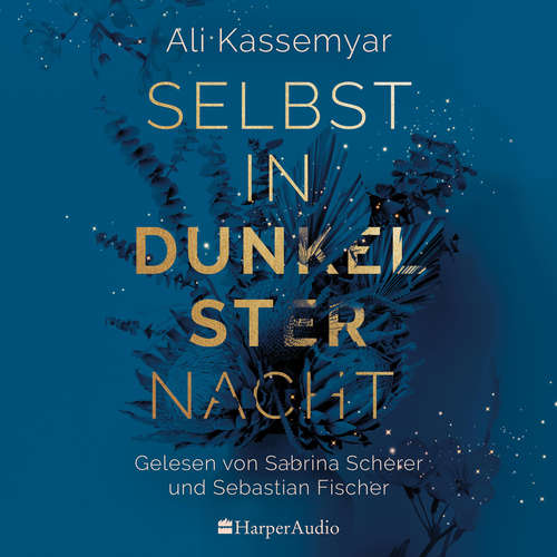 Hoerbuch Selbst in dunkelster Nacht (ungekürzt) - Ali Kassemyar - Sabrina Scherer