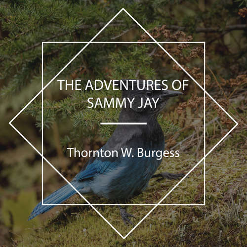 Audiobook The Adventures of Sammy Jay - Thornton W. Burgess - Rachel