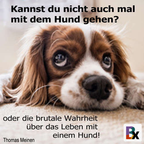 Hoerbuch Kannst du nicht auch mal mit dem Hund gehen? - Thomas Meinen - Thomas Meinen