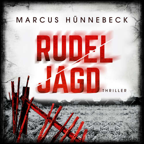 Hoerbuch Rudeljagd - Drosten und Sommer, Band 10 - Marcus Hünnebeck - Günter Merlau