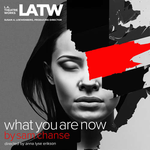 Audiobook What You Are Now - Sam Chanse - Carie Kawa