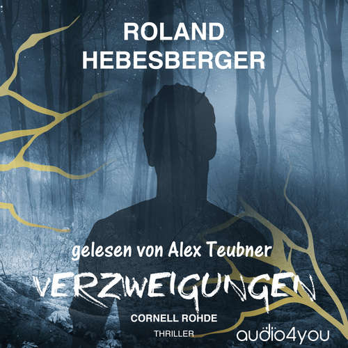 Hoerbuch Verzweigungen - Roland Hebesberger - Alex Teubner