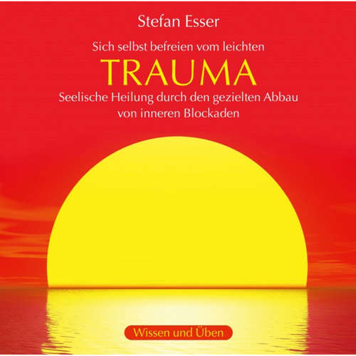 Hoerbuch Trauma - Sich selbst befreien vom leichten Trauma - seelische Heilung durch den gezielten Abbau von inneren Blockaden - Stefan Esser - Stefan Esser