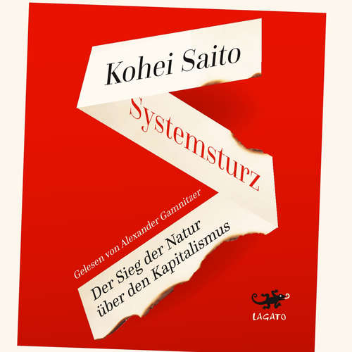 Hoerbuch Systemsturz - Kohei Saito - Alexander Gamnitzer