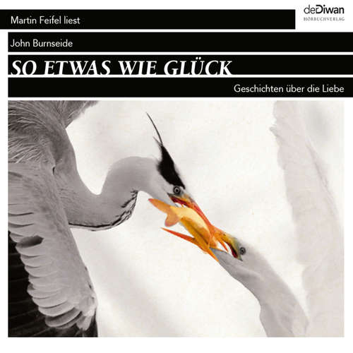 Hoerbuch So etwas wie Glück - Geschichten über die Liebe - John Burnside - Martin Feifel
