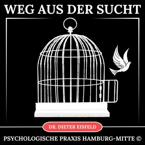 Hoerbuch Weg aus der Sucht - Dr. Dieter Eisfeld - Dieter Eisfeld