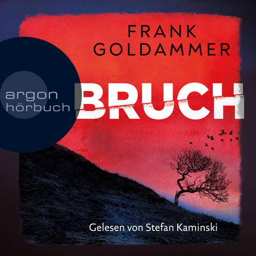 Hoerbuch Bruch - Ein dunkler Ort - Frank Goldammer - Stefan Kaminski