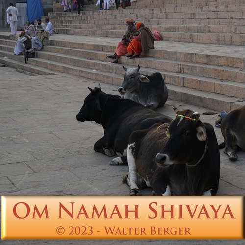 Hoerbuch Om Namah Shivaya - 108 Mantras - Walter Berger - Walter Berger