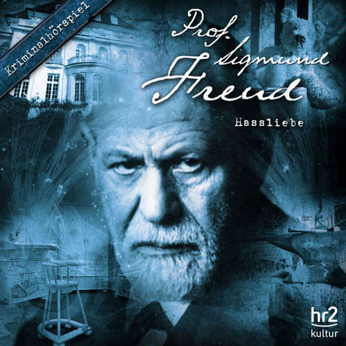 Hoerbuch Folge 7: Hassliebe -  - Hans Peter Hallwachs