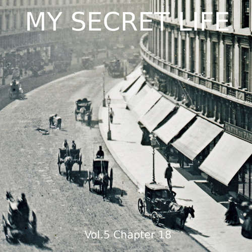 Audiobook My Secret Life, Vol. 5 Chapter 18 - Dominic Crawford Collins - Dominic Crawford Collins
