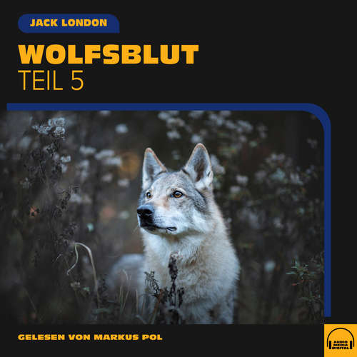 Hoerbuch Wolfsblut (Teil 5) - Jack London - Markus Pol