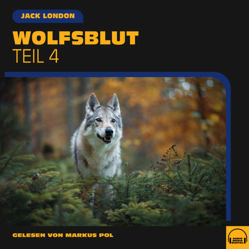 Hoerbuch Wolfsblut (Teil 4) - Jack London - Markus Pol