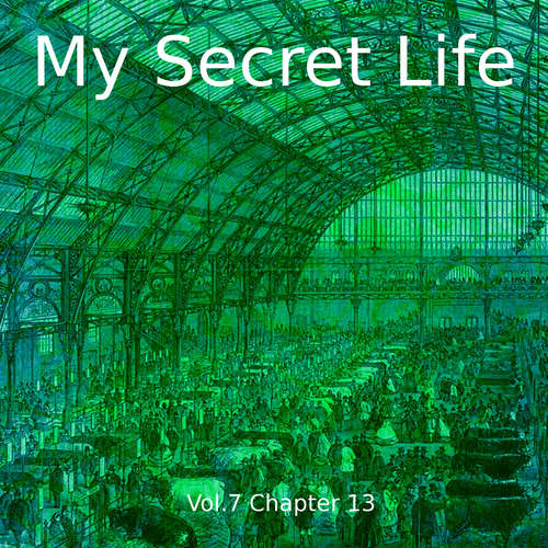 Audiobook My Secret Life, Volume Seven, Chapter Thirteen - Dominic Crawford Collins - Dominic Crawford Collins