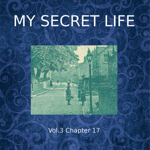 Audiobook My Secret Life, Vol. 3 Chapter 17 - Dominic Crawford Collins - Dominic Crawford Collins