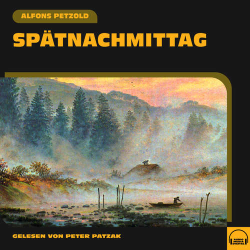 Hoerbuch Spätnachmittag - Alfons Petzold - Peter Patzak