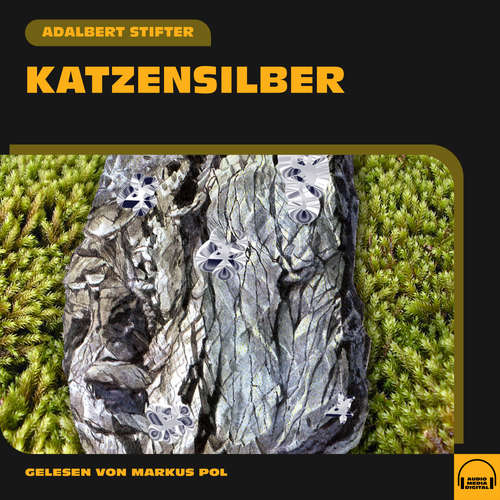 Hoerbuch Katzensilber - Adalbert Stifter - Markus Pol