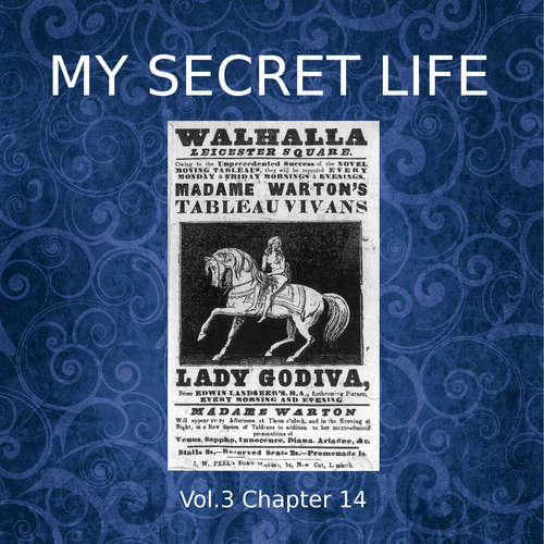 Audiobook My Secret Life, Vol. 3 Chapter 14 - Dominic Crawford Collins - Dominic Crawford Collins