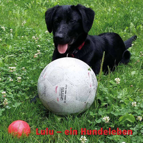 Hoerbuch Lulu - Ein Hundeleben -  - Saskia Be