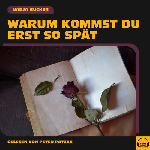 Hoerbuch Warum kommst du erst so spät - Nadja Bucher - Peter Patzak