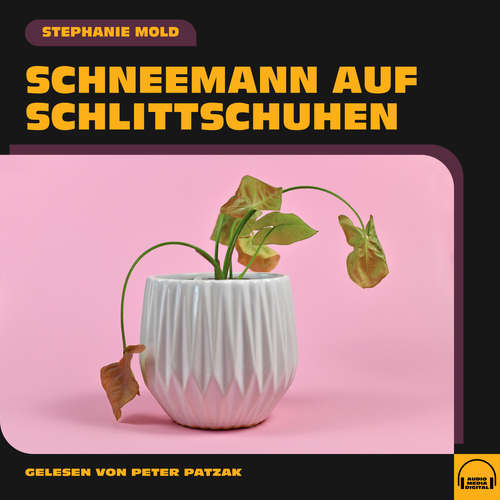 Hoerbuch Schneemann auf Schlittschuhen - Stephanie Mold - Peter Patzak