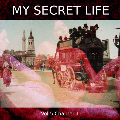 Audiobook My Secret Life, Vol. 5 Chapter 11 - Dominic Crawford Collins - Dominic Crawford Collins
