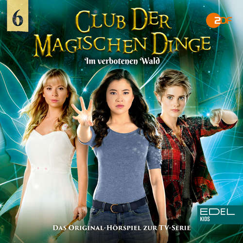Hoerbuch Folge 6: Im verbotenen Wald (Das Original-Hörspiel zur TV-Serie) - Maike Prestin - Merete Brettschneider